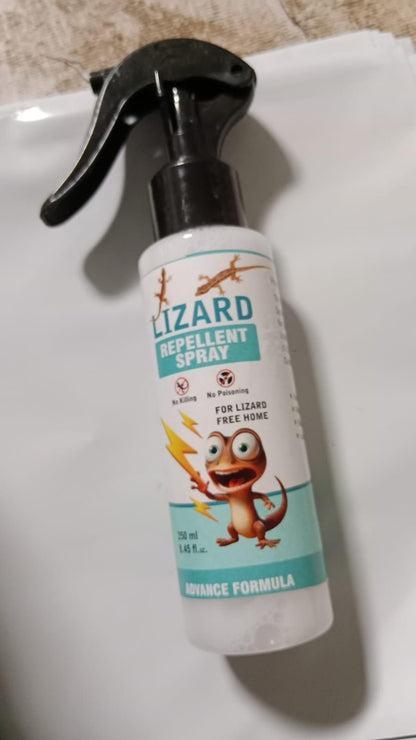 Lizard Repellent for Home Spray Pest Control 250ML (Pack of 2) Orrizon India