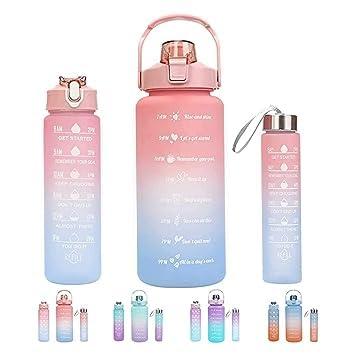 3 Pack Motivational Water Bottles Set Orrizon India